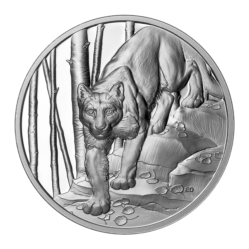 Image for 1 oz Ultra-High Relief Great Hunters: Cougar Silver Coin (2024) from TD Precious Metals